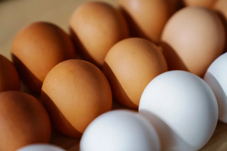 Eier