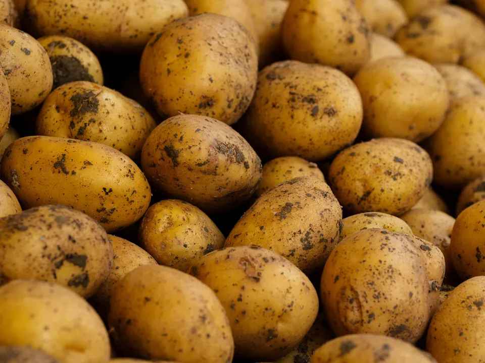 Kartoffeln