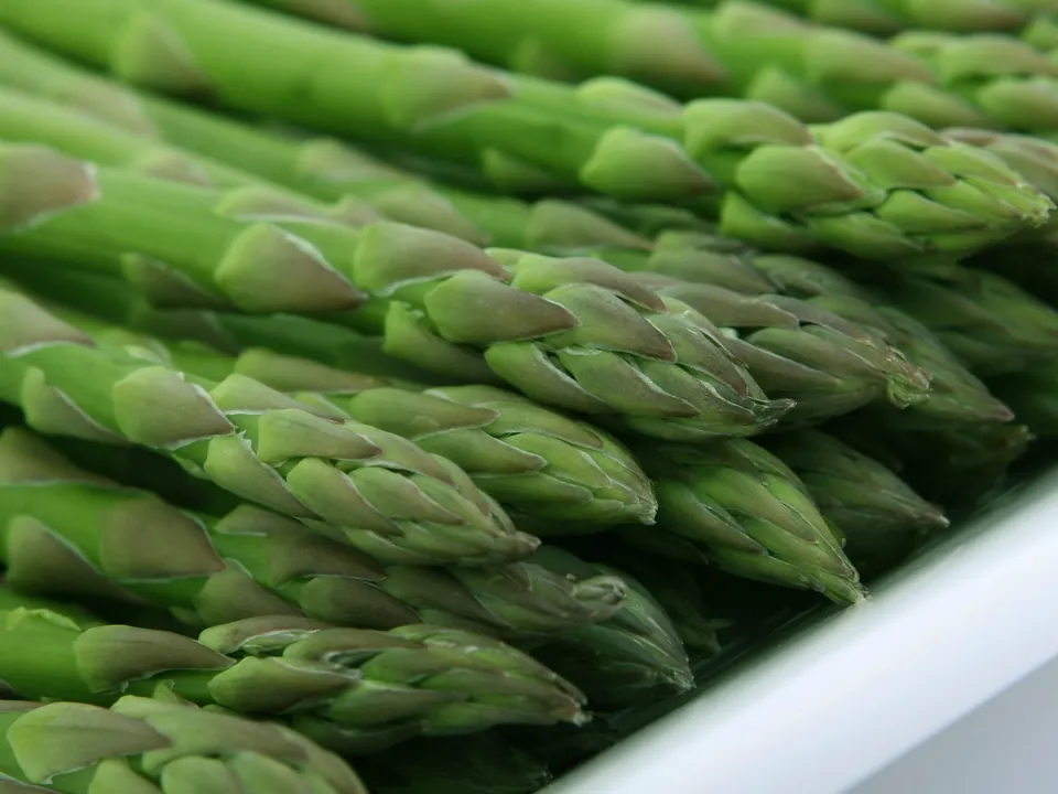 Spargel