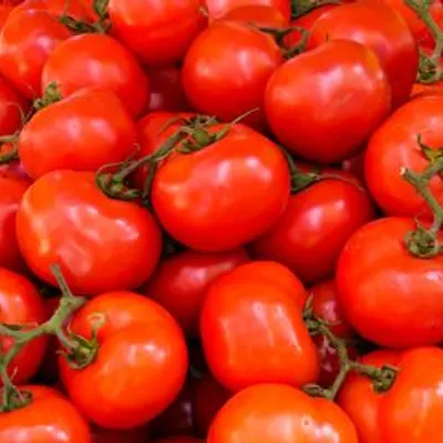 Tomaten